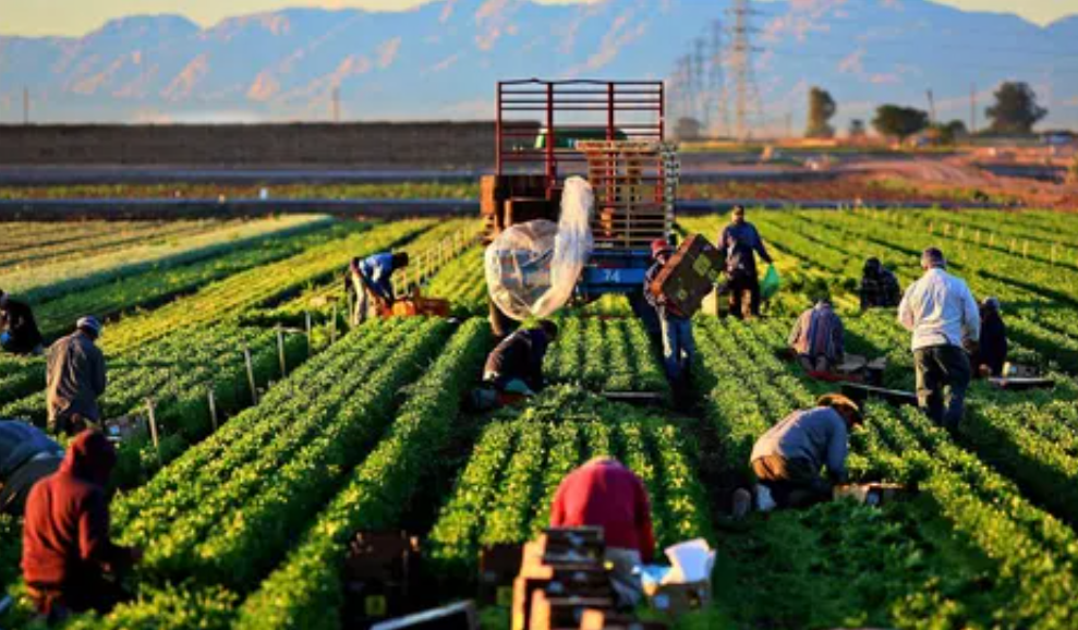 Gỡ nút thắt tài chính cho nông nghiệp trước rủi ro khí hậu